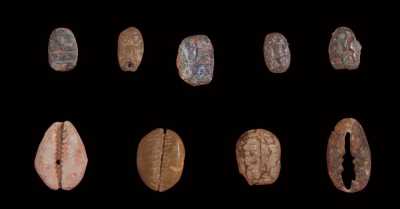 新石器时代至战国的贝币共九枚